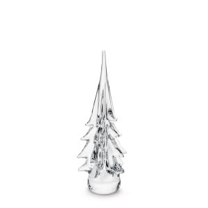 Alternative view of Spruce Evergreen Tree