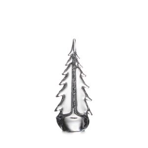 Alternative view of Vermont Evergreen Tree